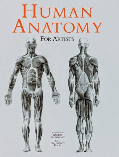 Human Anatomy For Artists Pdf Free Download